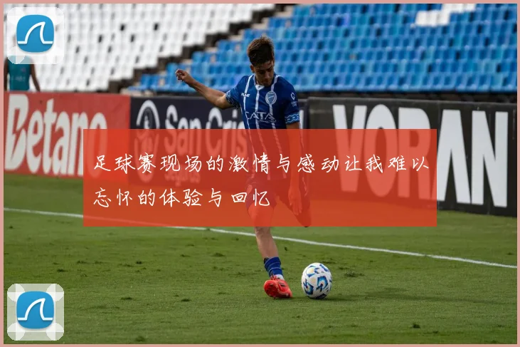 足球赛现场的激情与感动让我难以忘怀的体验与回忆