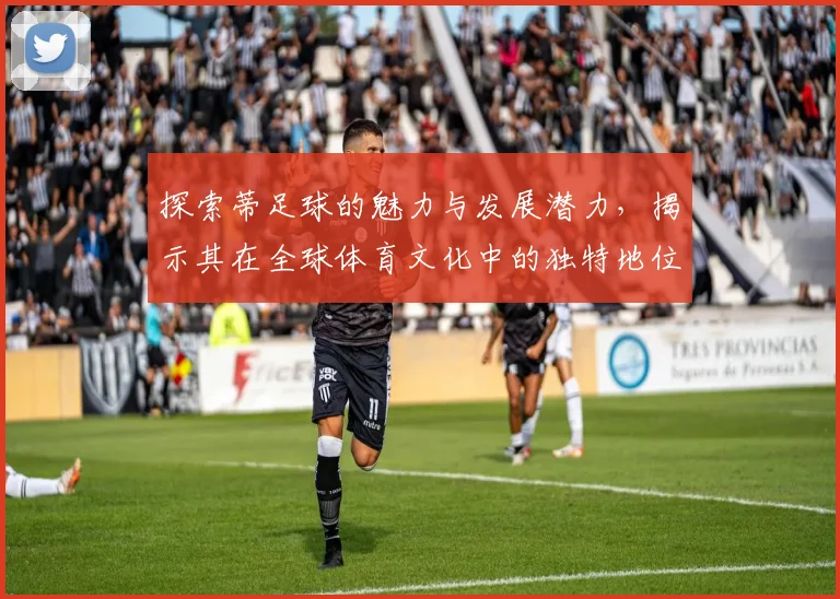 探索蒂足球的魅力与发展潜力，揭示其在全球体育文化中的独特地位与影响力