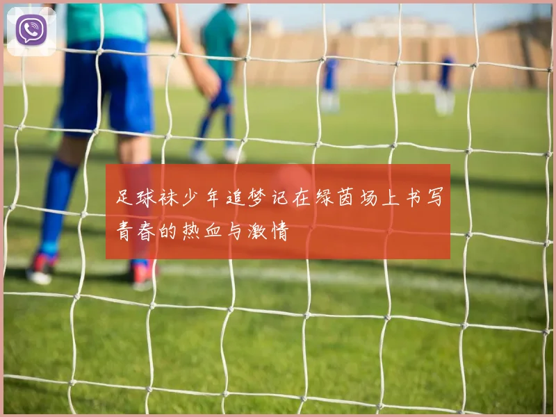 足球袜少年追梦记在绿茵场上书写青春的热血与激情