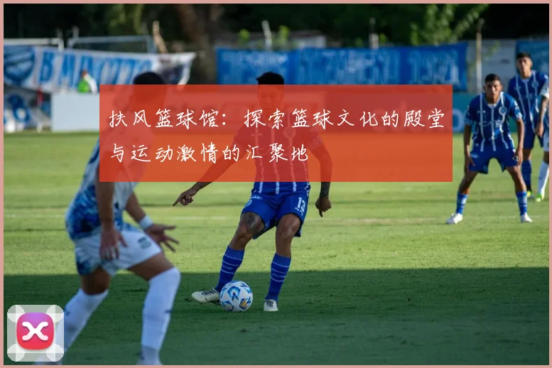 扶风篮球馆：探索篮球文化的殿堂与运动激情的汇聚地