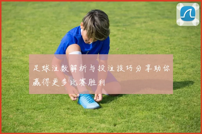 足球注数解析与投注技巧分享助你赢得更多比赛胜利